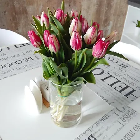 Tender Loft * Odesa